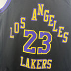 LeBron James No.23 Los Angeles Lakers City Edition Jersey 2025-26 NBA Authentic Swingman Jersey - View 3