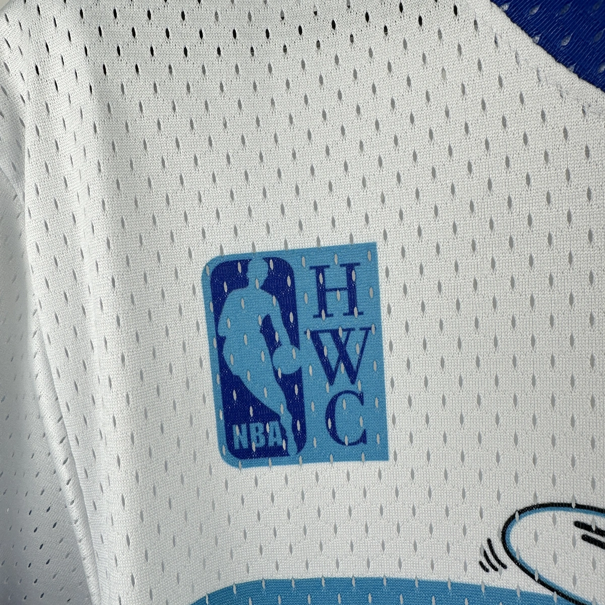 Charlotte Hornets Mitchell & Ness HWC Retro Tee for Men | Premium Vintage Style