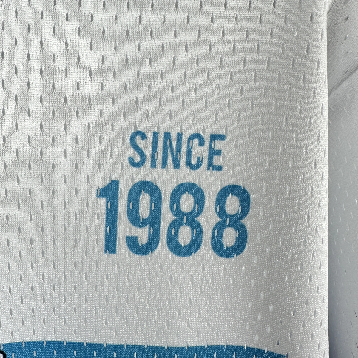 Charlotte Hornets Mitchell & Ness HWC Retro Tee for Men | Premium Vintage Style