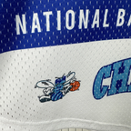 Charlotte Hornets Mitchell & Ness HWC Retro Tee for Men | Premium Vintage Style