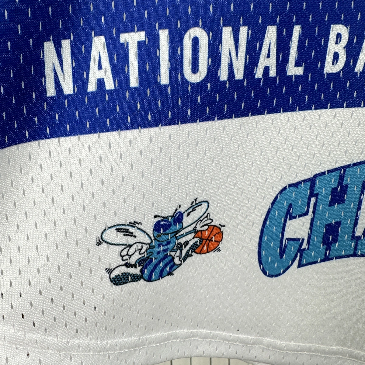 Charlotte Hornets Mitchell & Ness HWC Retro Tee for Men | Premium Vintage Style