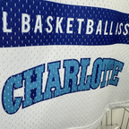 Charlotte Hornets Mitchell & Ness HWC Retro Tee for Men | Premium Vintage Style