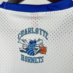 Charlotte Hornets Mitchell & Ness HWC Retro Tee for Men | Premium Vintage Style