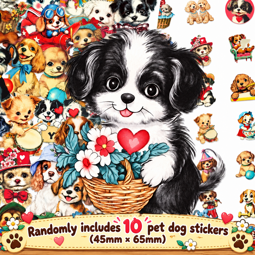 Lava Black Volcanic Rock Bead Bracelet | Antique Silver Paw Charm | Essential Oil Diffuser | Rescue Charity