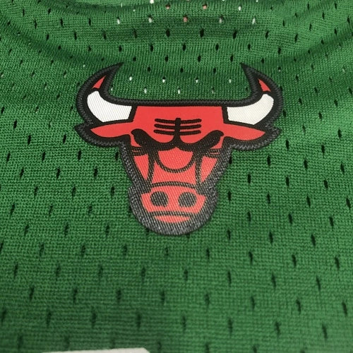 Derrick Rose Chicago Bulls No.1 Throwback St. Patrick's Swingman Jersey 2008-09 - View 80