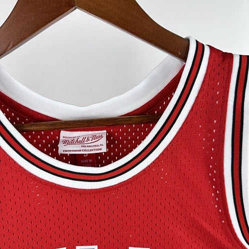Dwyane Wade Chicago Bulls No.3 Throwback Swingman Jersey 2016-17 - View 161