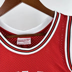 Dwyane Wade Chicago Bulls No.3 Throwback Swingman Jersey 2016-17 - View 161