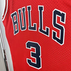 Dwyane Wade Chicago Bulls No.3 Throwback Swingman Jersey 2016-17 - View 161