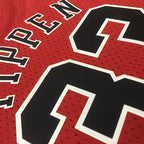 Scottie Pippen Chicago Bulls No.33 Throwback Crop Top Women's Jersey  - View 12