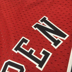 Scottie Pippen Chicago Bulls No.33 Throwback Crop Top Women's Jersey  - View 10