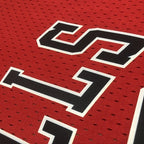 Scottie Pippen Chicago Bulls No.33 Throwback Crop Top Women's Jersey  - View 16