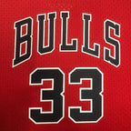Scottie Pippen Chicago Bulls No.33 Throwback Crop Top Women's Jersey  - View 20