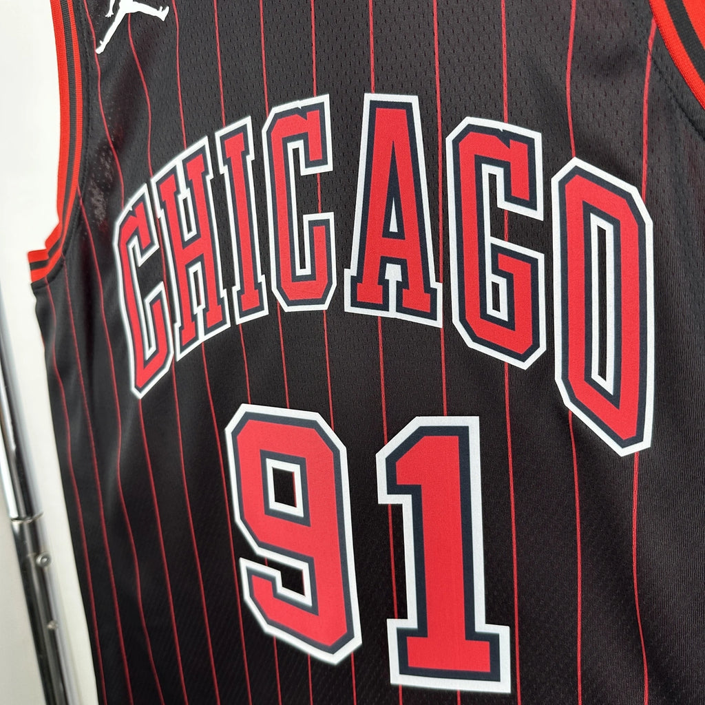 Dennis Rodman No.91 Chicago Bulls Air Jordan Edition Jersey 2025-26 NBA Authentic Swingman Jersey - View 4
