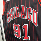 Dennis Rodman No.91 Chicago Bulls Air Jordan Edition Jersey 2025-26 NBA Authentic Swingman Jersey - View 4