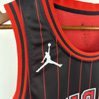 Dennis Rodman No.91 Chicago Bulls Air Jordan Edition Jersey 2025-26 NBA Authentic Swingman Jersey - View 8