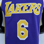 James Lakers #6 Jordan Jersey 2021 - View 003