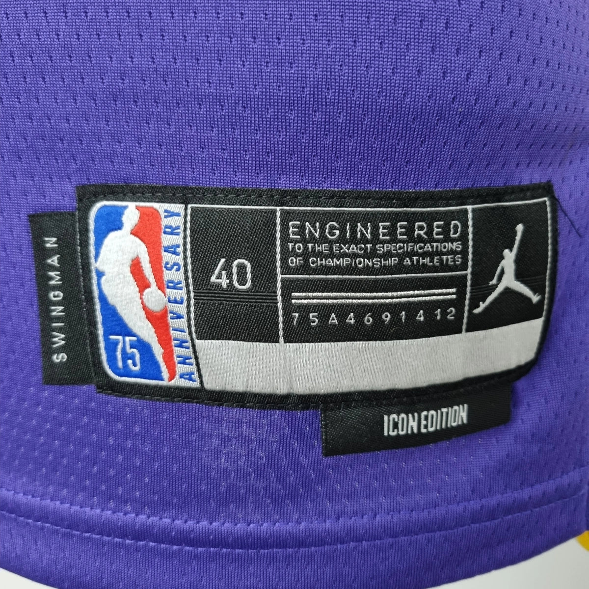James Lakers #6 Jordan Jersey 2021 - View 008