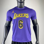 Los Angeles Lakers #6 Jordan Brand Jersey 2023 - View 003