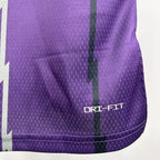 Vince Carter No.15 Toronto Raptors Throwback Purple Jersey 2025-26 NBA Authentic Swingman Jersey - View 10