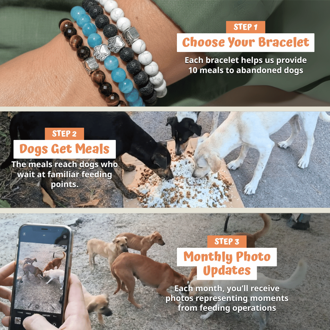 Terra Indian Agate Bead Bracelet | Silver Paw Charm | Rescue Charity